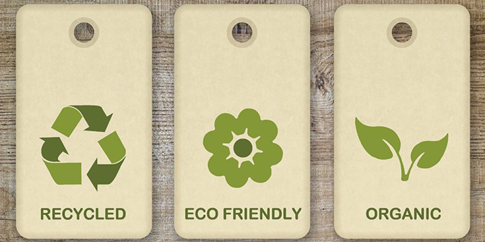 Our Spa's Eco-Friendly Practices and Why They Matter
